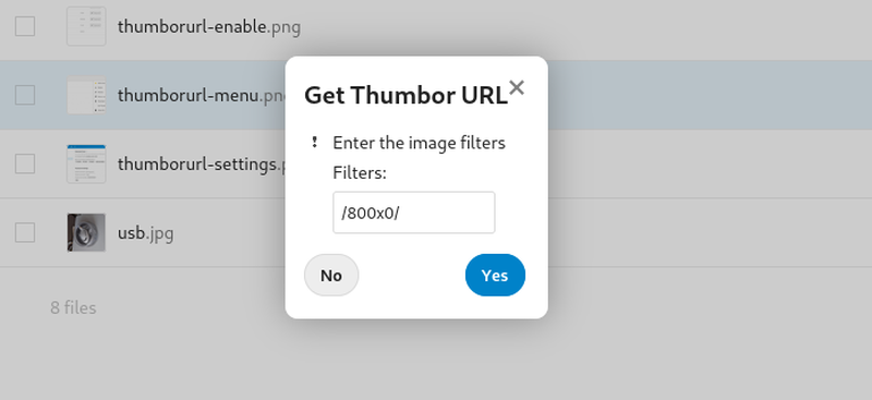 輸入 Thumbor 圖片處理選項